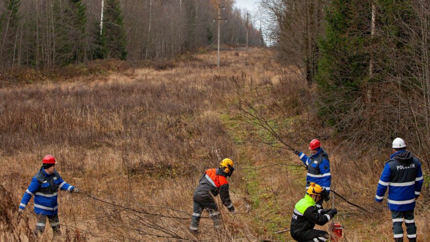 Энергетики «Тверьэнерго» расчистили более 2 500 га просек ЛЭП всех уровней напряжения