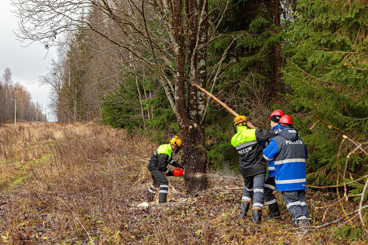 Энергетики «Тверьэнерго» расчистили более 2 500 га просек ЛЭП всех уровней напряжения Энергетики «Тверьэнерго» расчистили более 2 500 га просек ЛЭП всех уровней напряжения