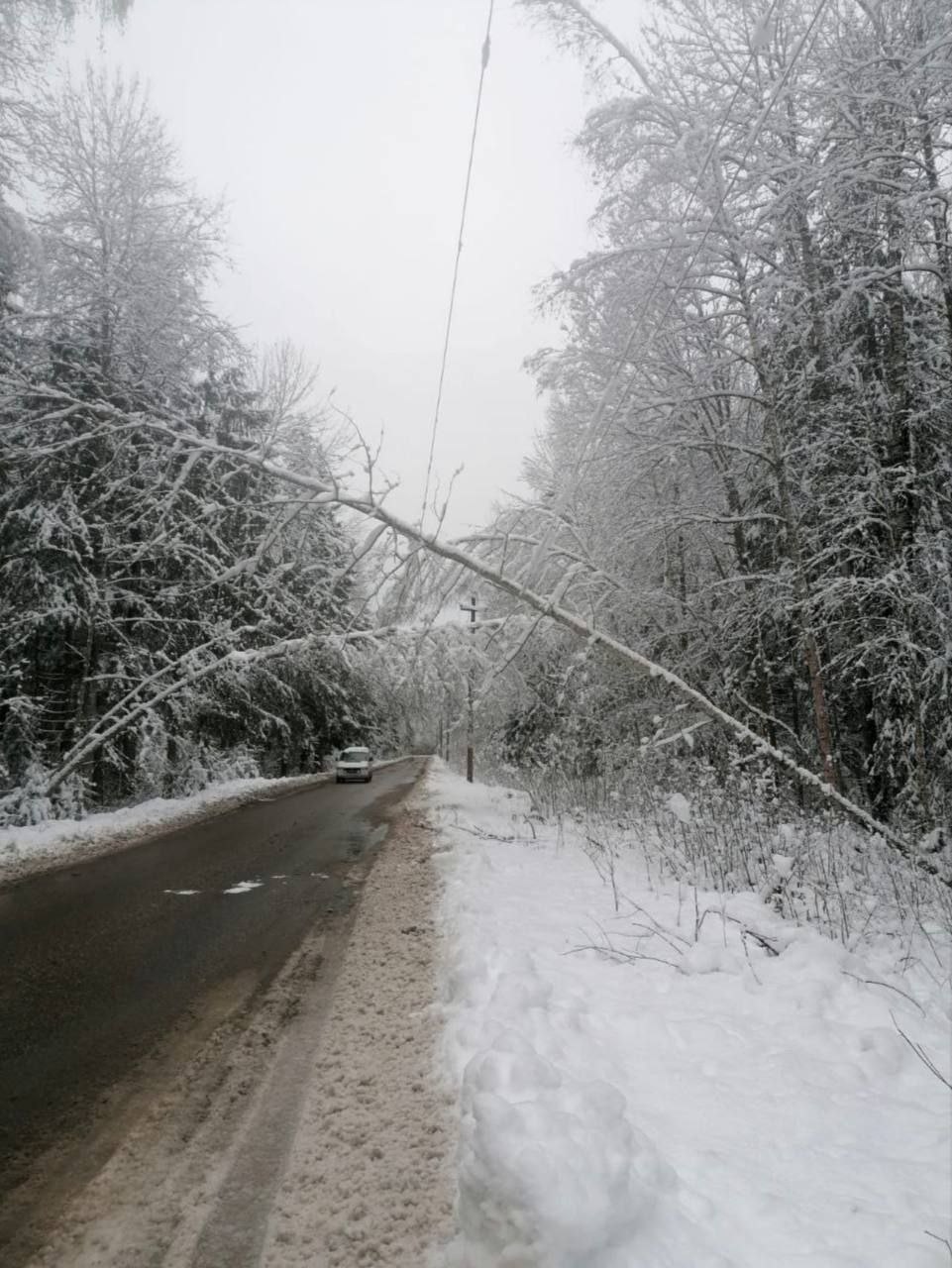 Энергетики «Россети Центр» и «Россети Центр и Приволжье» восстановили работу почти 550 энергообъектов после второй волны снегопада в Тверской области
