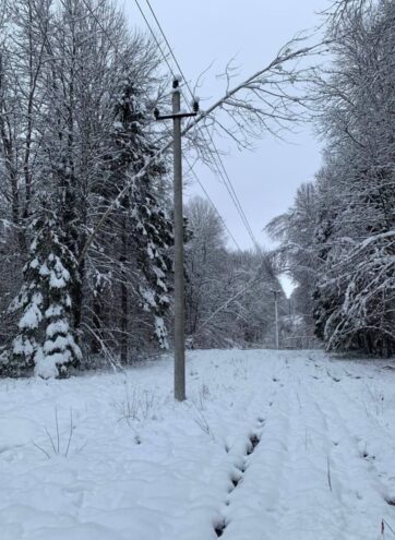 Энергетики «Россети Центр» и «Россети Центр и Приволжье» восстановили работу почти 550 энергообъектов после второй волны снегопада в Тверской области