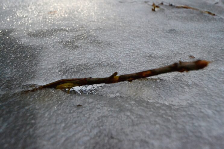 Тверскую область ждет температурный "маятник"