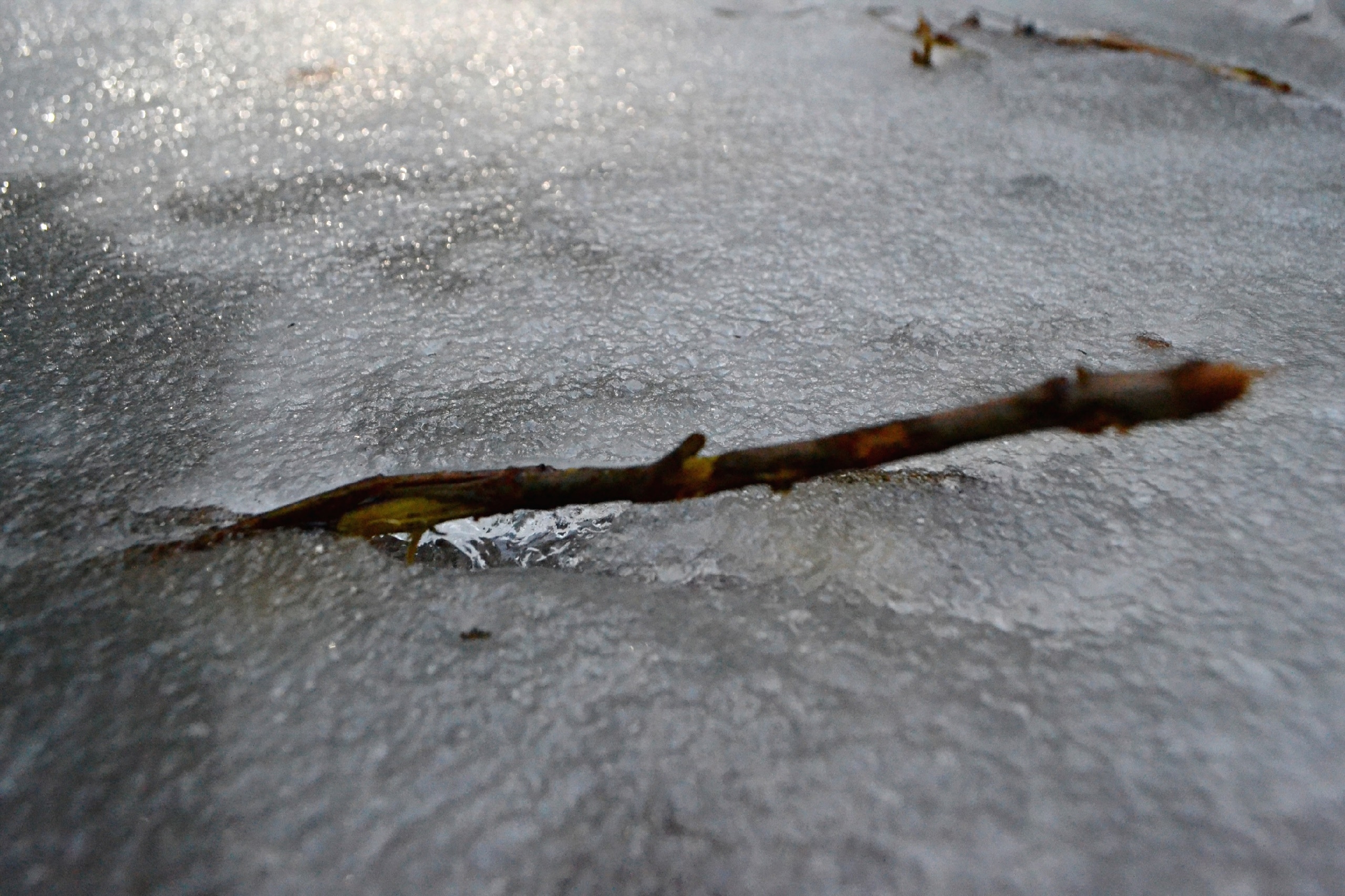 Тверскую область ждет температурный "маятник"