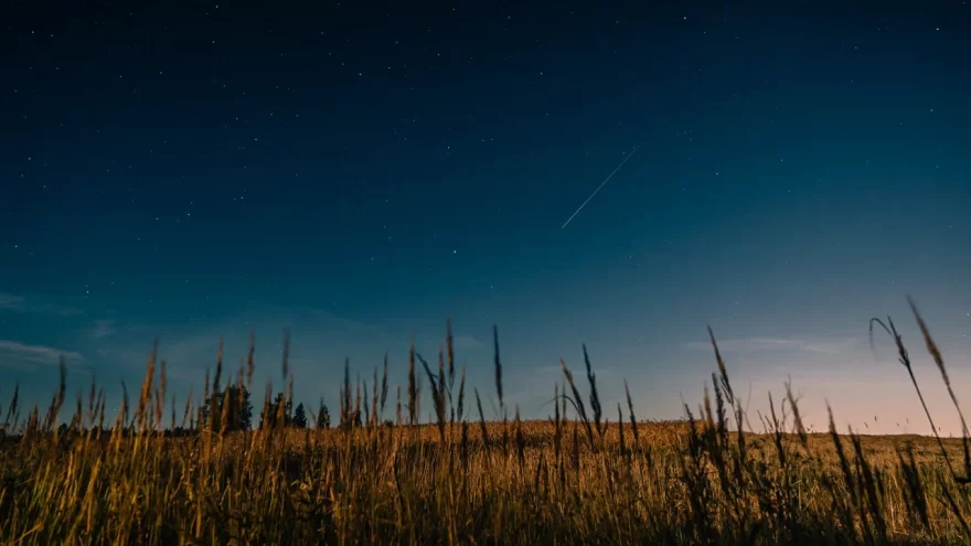 Стало известно когда небо Твери украсит звездопад-гигант