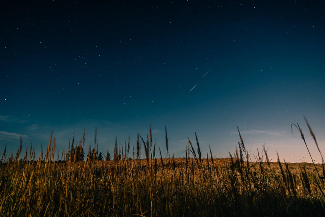 Стало известно когда небо Твери украсит звездопад-гигант Стало известно когда небо Твери украсит звездопад-гигант