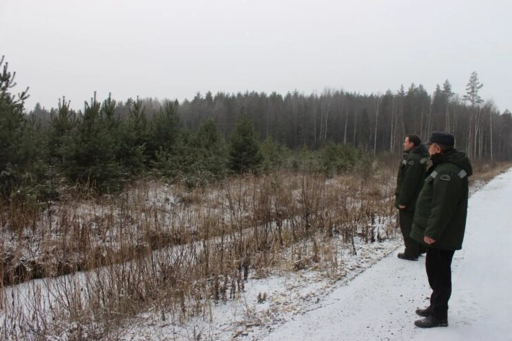 В Тверской области усилили охрану хвойных деревьев от незаконных рубок В Тверской области усилили охрану хвойных деревьев от незаконных рубок