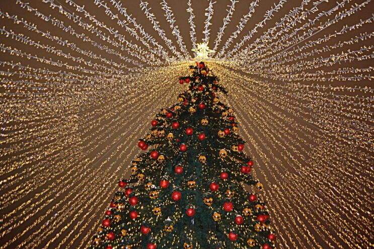 Куда поедут россияне на новогодние праздники: результаты опроса.