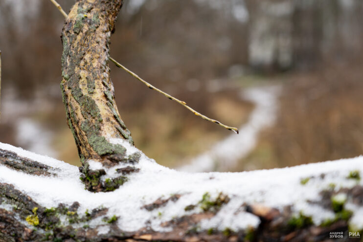 Погода в Твери на завтра