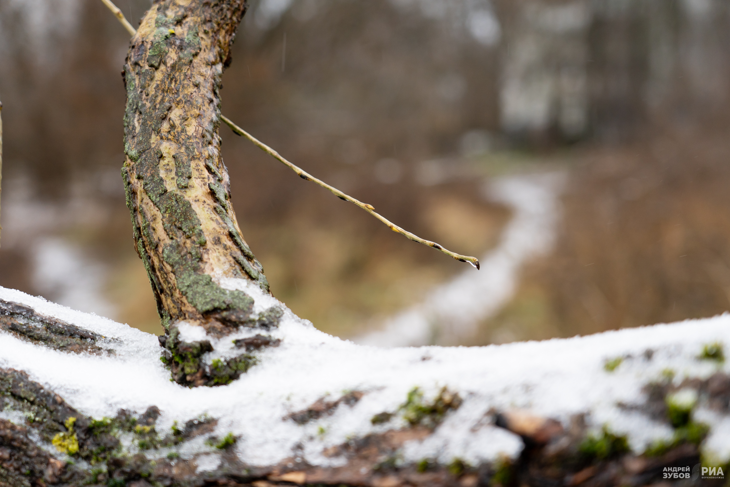 Погода в Твери на завтра