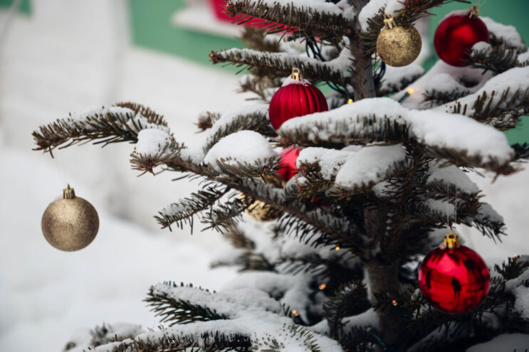 Дед Мороз и Снегурочка поздравили детей из Нелидово