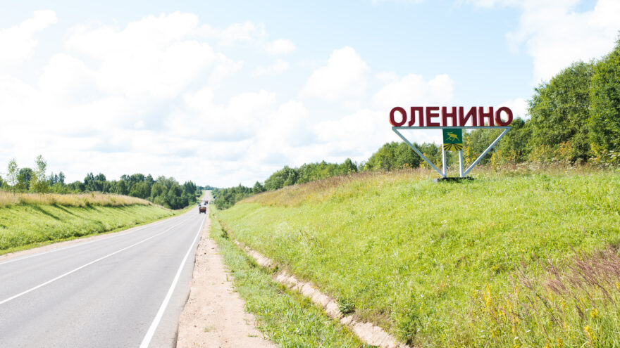 В Оленино большим концертом отметили День матери