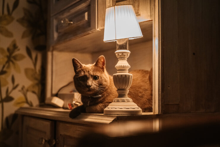 В Осташковском округе восстанавливают электроснабжение