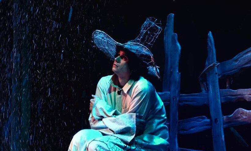 Поэтичная сказка «Не улетай!» в Верхневолоцком театре драмы