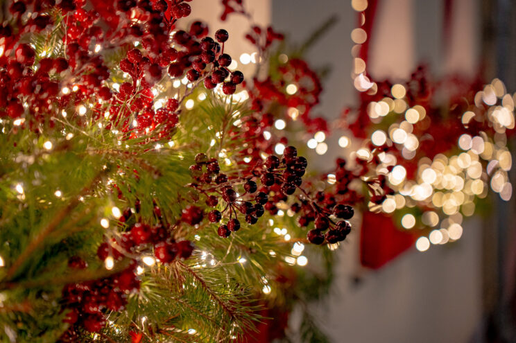 В Твери установили более 20 новогодних елей