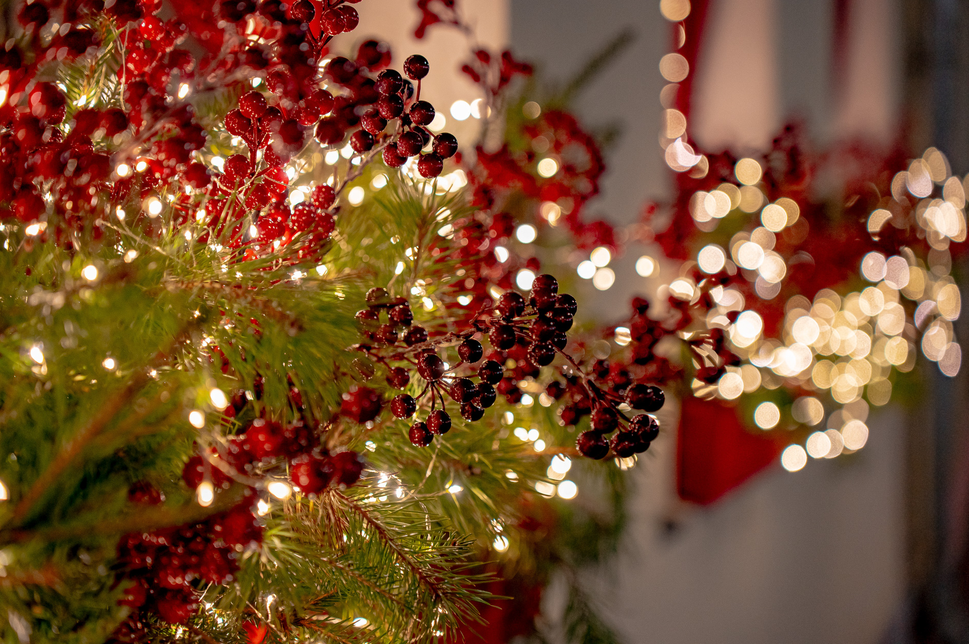 В Твери установили более 20 новогодних елей