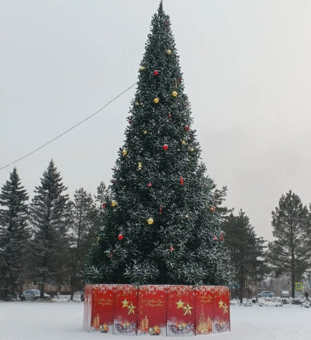 В Тверской области программа поддержки местных инициатив демонстрирует стабильный рост