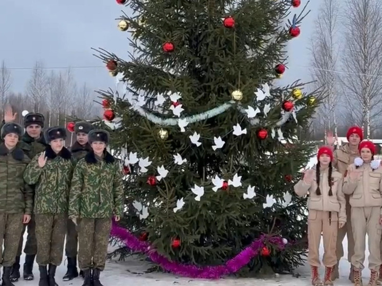 Молодежь Андреаполя украсила новогоднюю елку символичной гирляндой