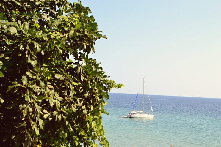 Крым привлекает все больше туристов: данные за 2025 год впечатляют Крым привлекает все больше туристов: данные за 2025 год впечатляют