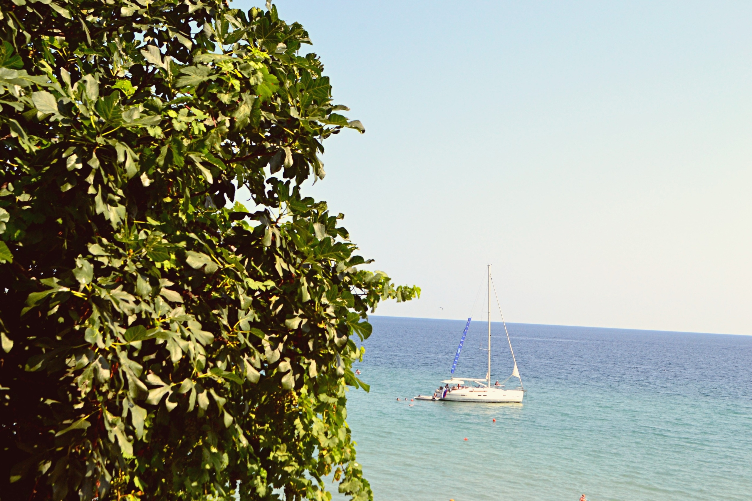 Крым привлекает все больше туристов: данные за 2025 год впечатляют