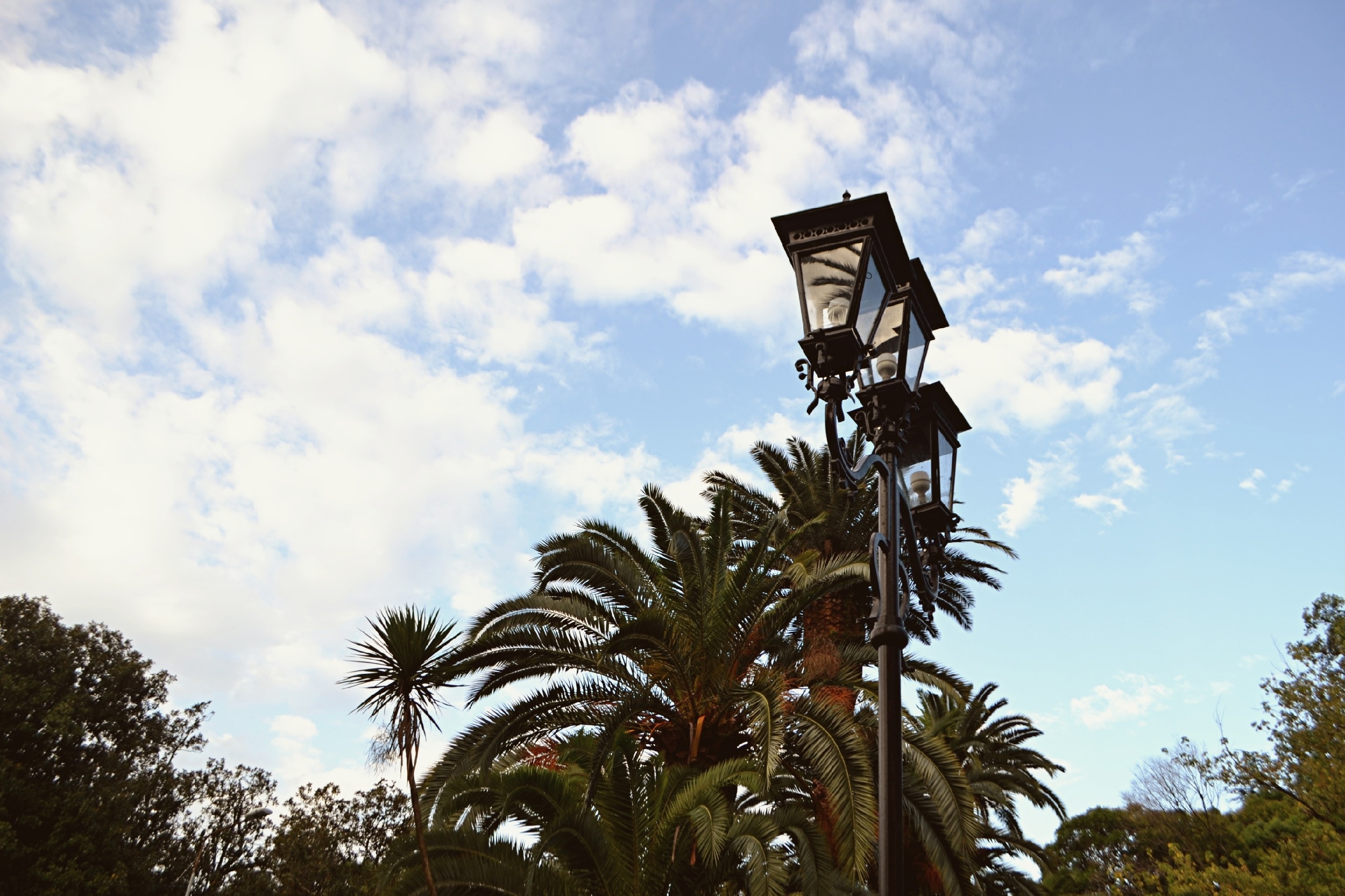 Россияне потратили $48 млрд за рубежом в 2025 году Россияне потратили $48 млрд за рубежом в 2025 году