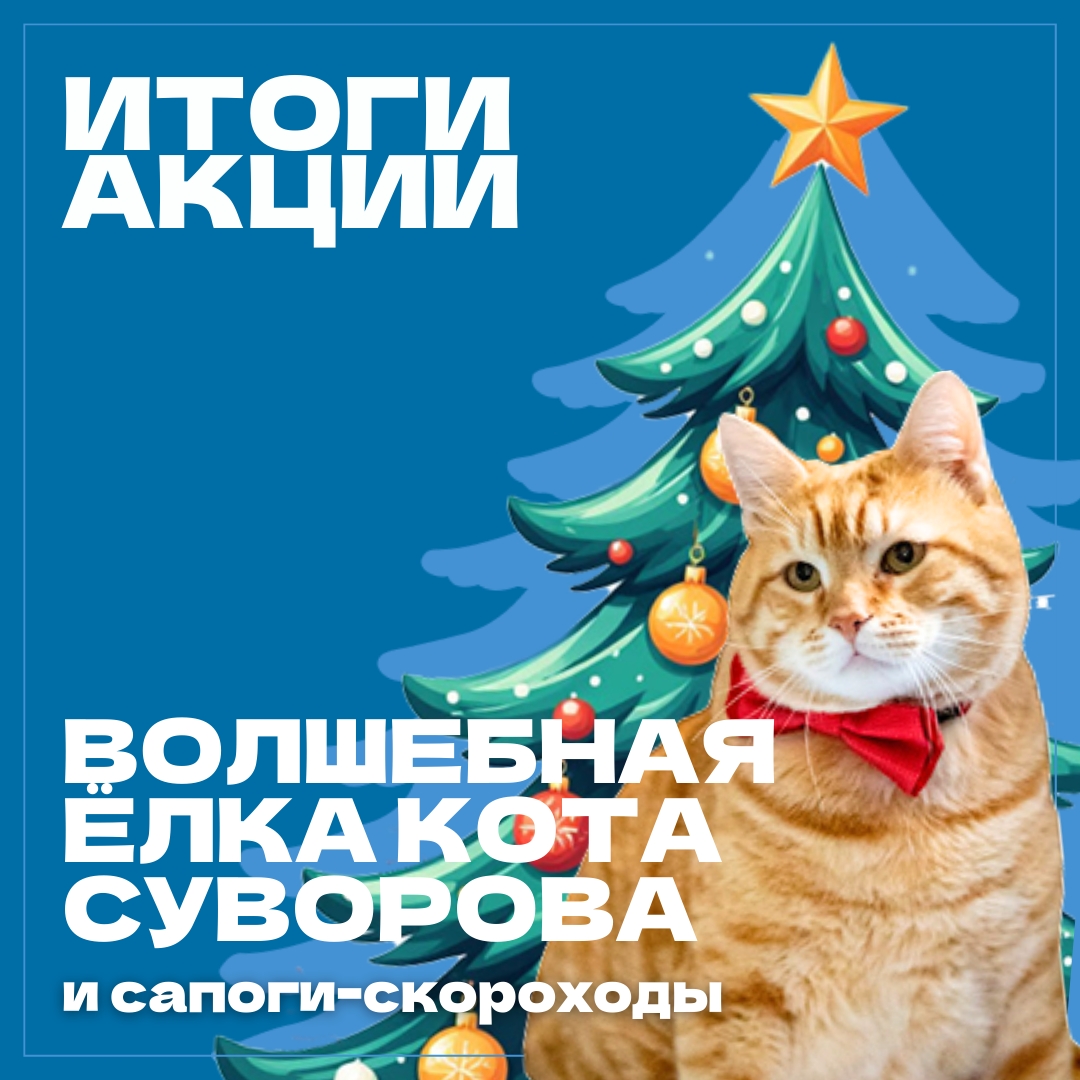В Твери подведены итоги новогодней акции "Волшебная ёлка кота Суворова"