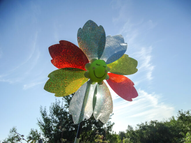 Россельхознадзор выявил нарушения в животноводческих хозяйствах Верхневолжья