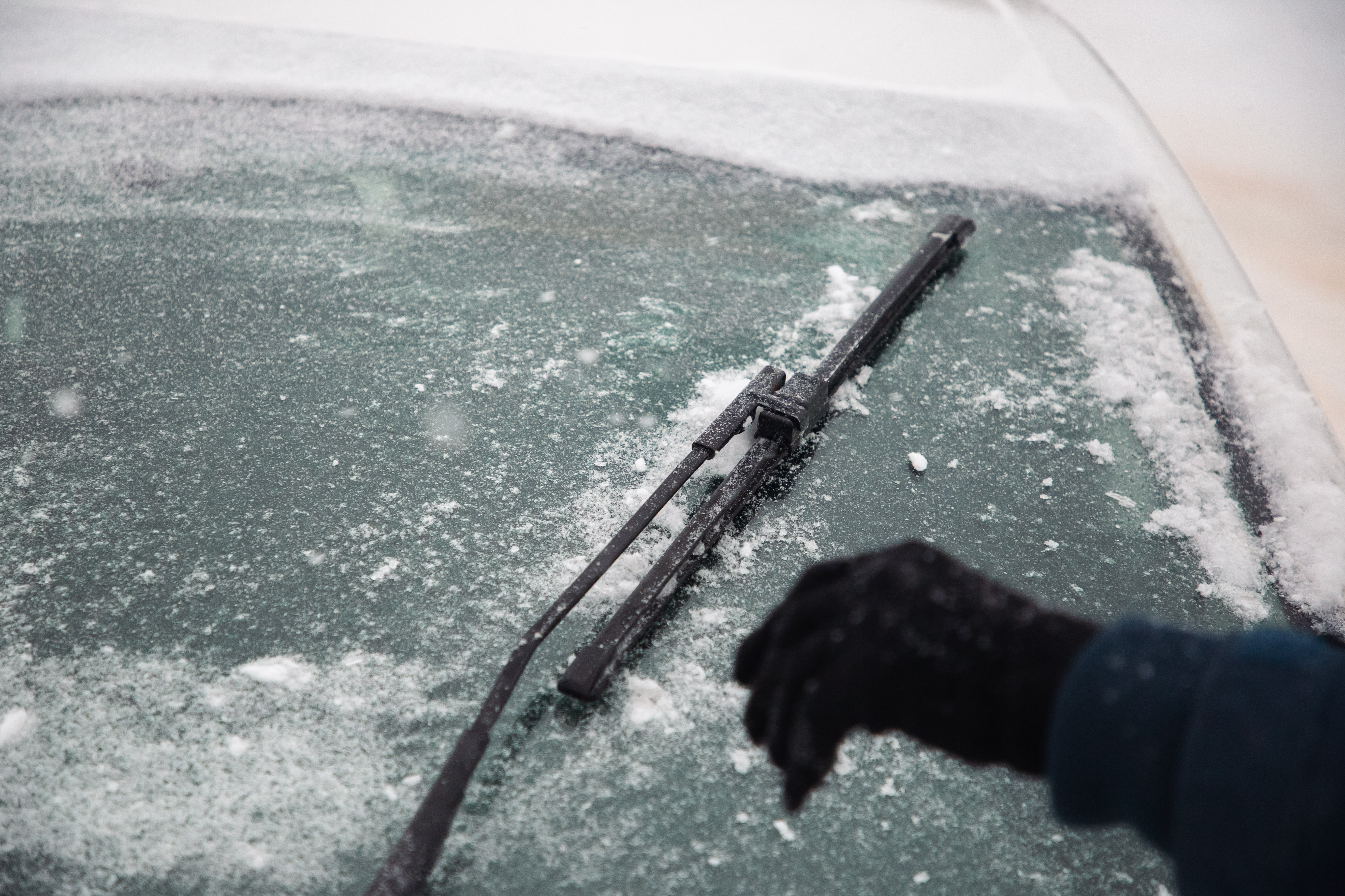 Покупаем "незамерзайку" с умом: Советы Роспотребнадзора Тверской области
