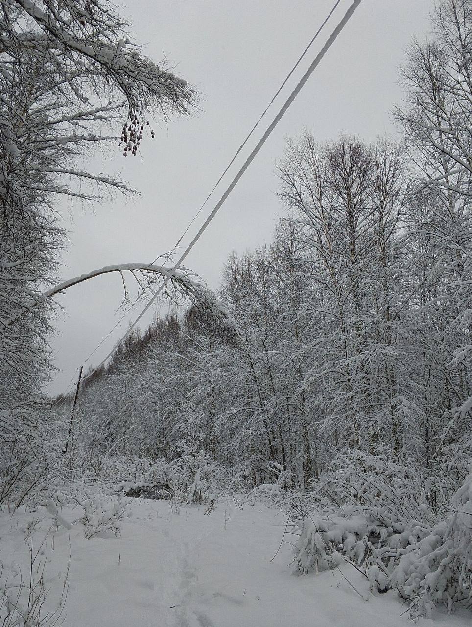 Усиленная группировка «Россети Центр» и «Россети Центр и Приволжье» восстанавливает электроснабжение Тверской области после очередного снегопада