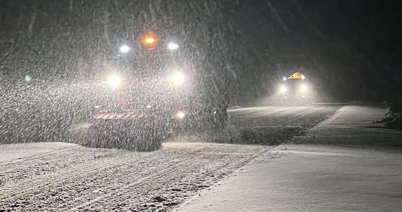 Более 300 единиц