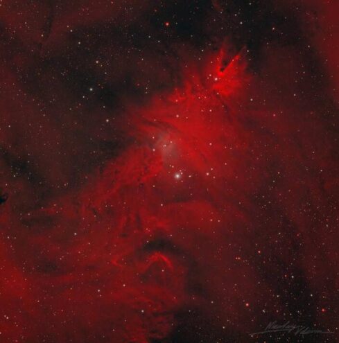 Роскосмос поделился фотографией космической “Рождественской ёлки”