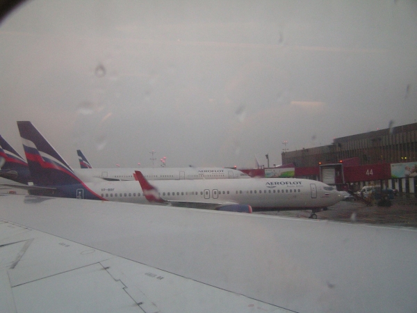 С марта в России начнут действовать новые правила для пассажиров самолетов