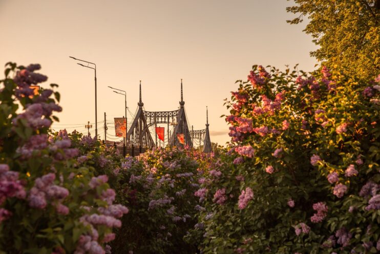 Тверские пейзажи Кристины Беляковой в ТЮЗе