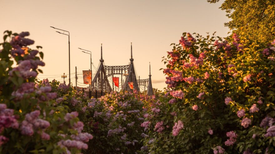 Тверские пейзажи Кристины Беляковой в ТЮЗе Тверские пейзажи Кристины Беляковой в ТЮЗе