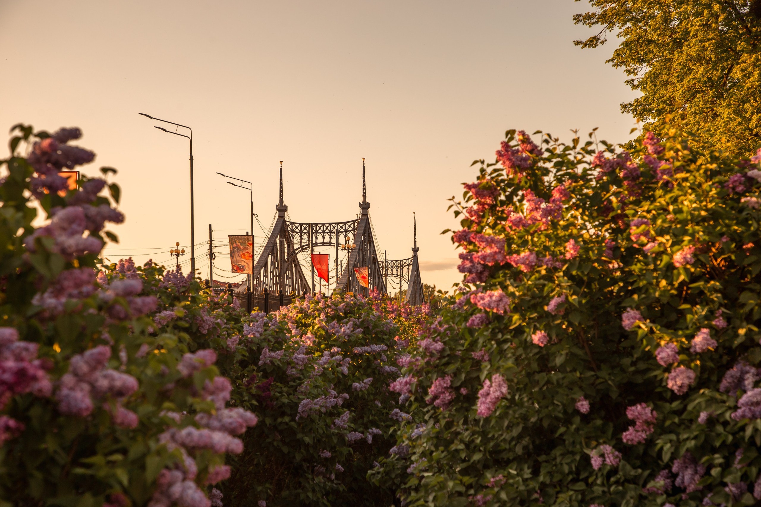 Тверские пейзажи Кристины Беляковой в ТЮЗе