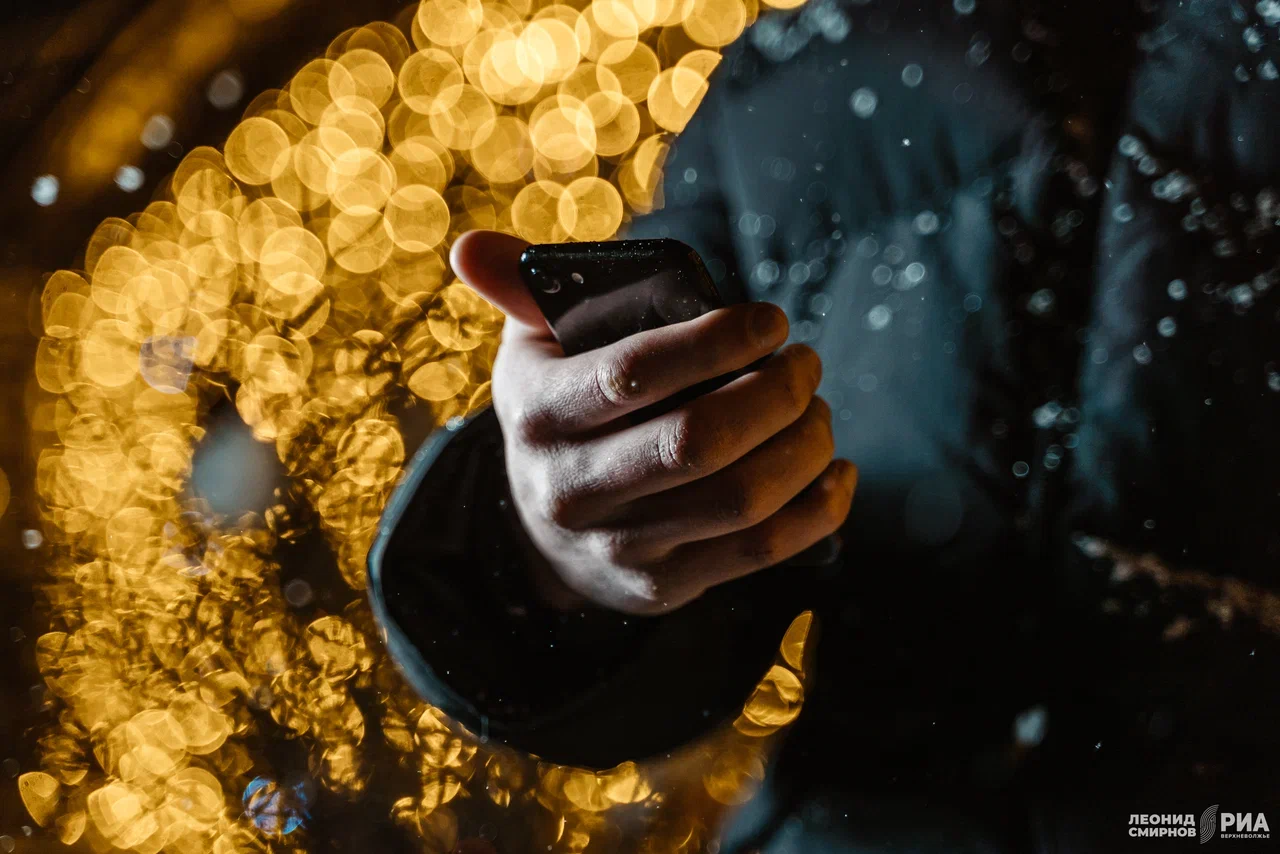 В России создадут систему борьбы с интернет-мошенниками