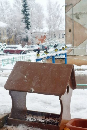 В Тверской области воруют даже кормушки для птиц