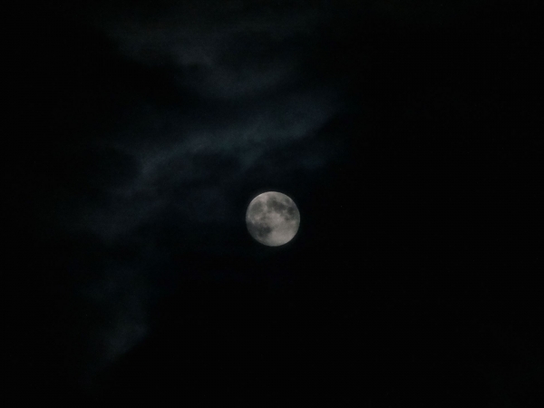 Жители Тверской области смогут увидеть “волчью” Луну