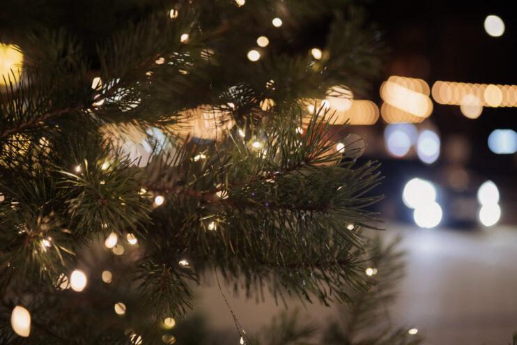 Погода в Твери на завтра