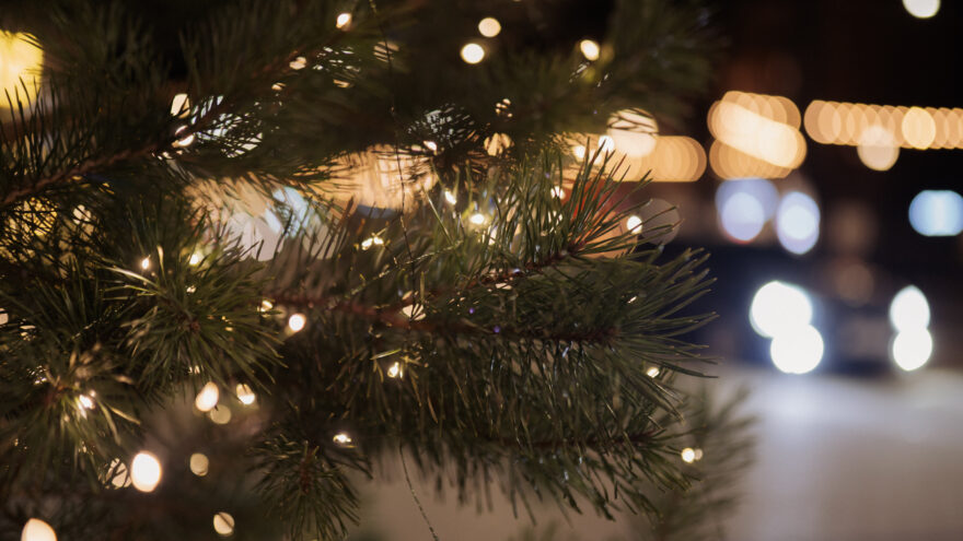 Погода в Твери на завтра