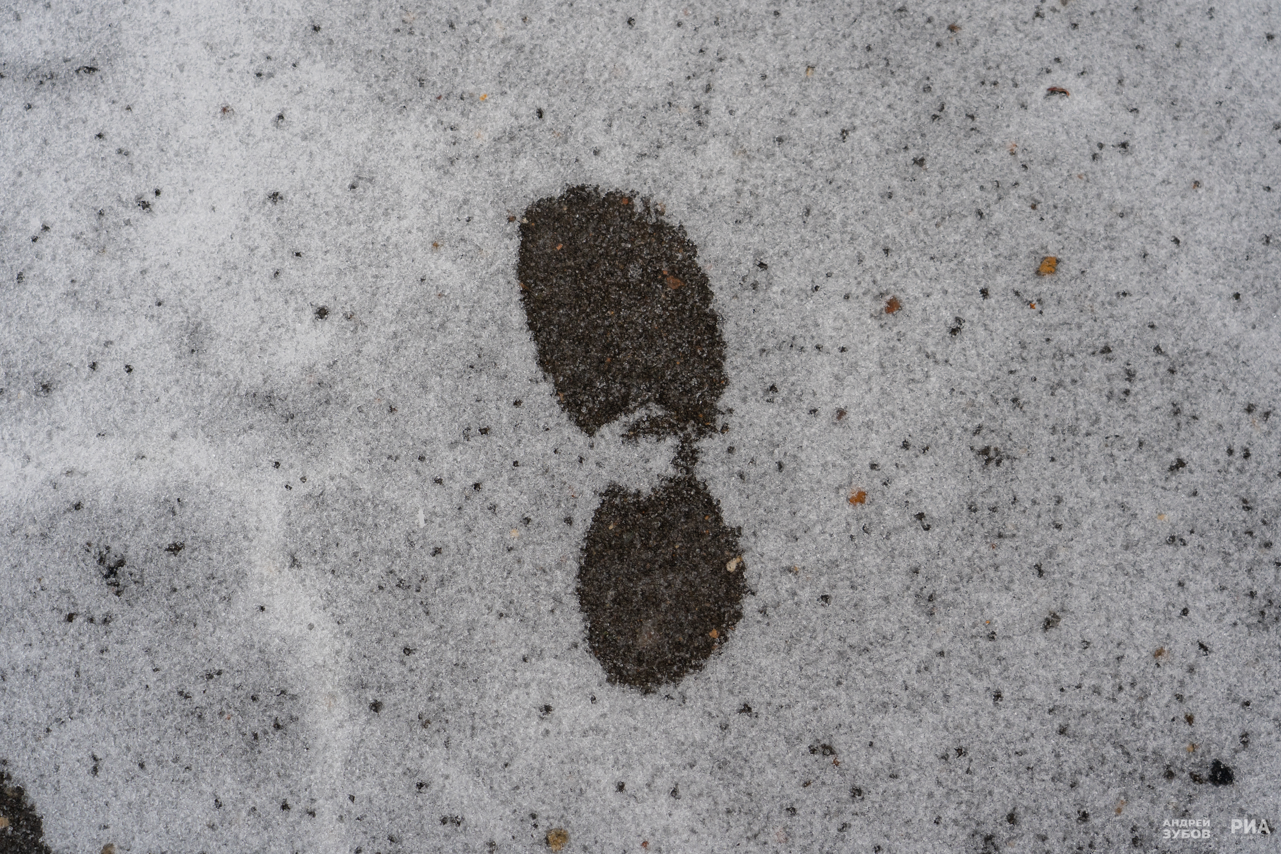 Погода в Твери на завтра