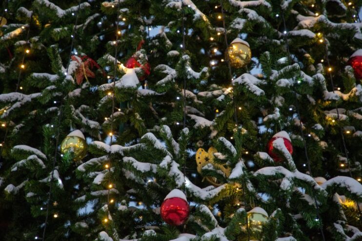 «Новогодний патруль» раздавал подарки на улицах Нелидова «Новогодний патруль» раздавал подарки на улицах Нелидова