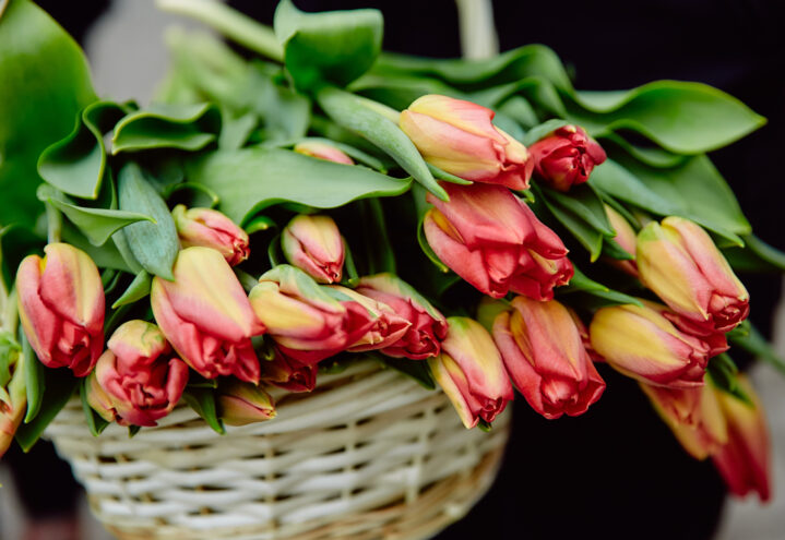 Глава Ржевского округа поздравил Татьян с праздником