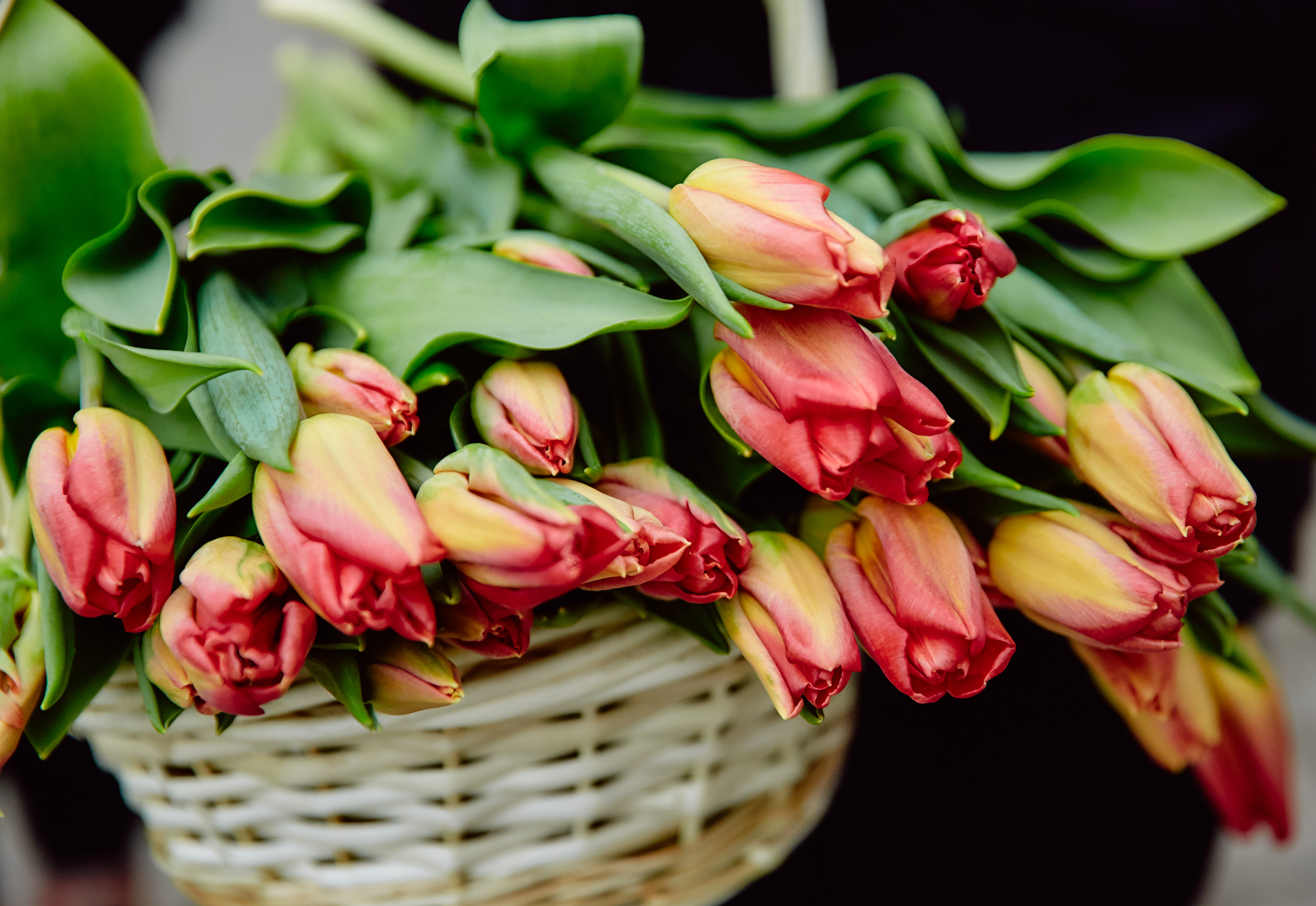 Глава Ржевского округа поздравил Татьян с праздником