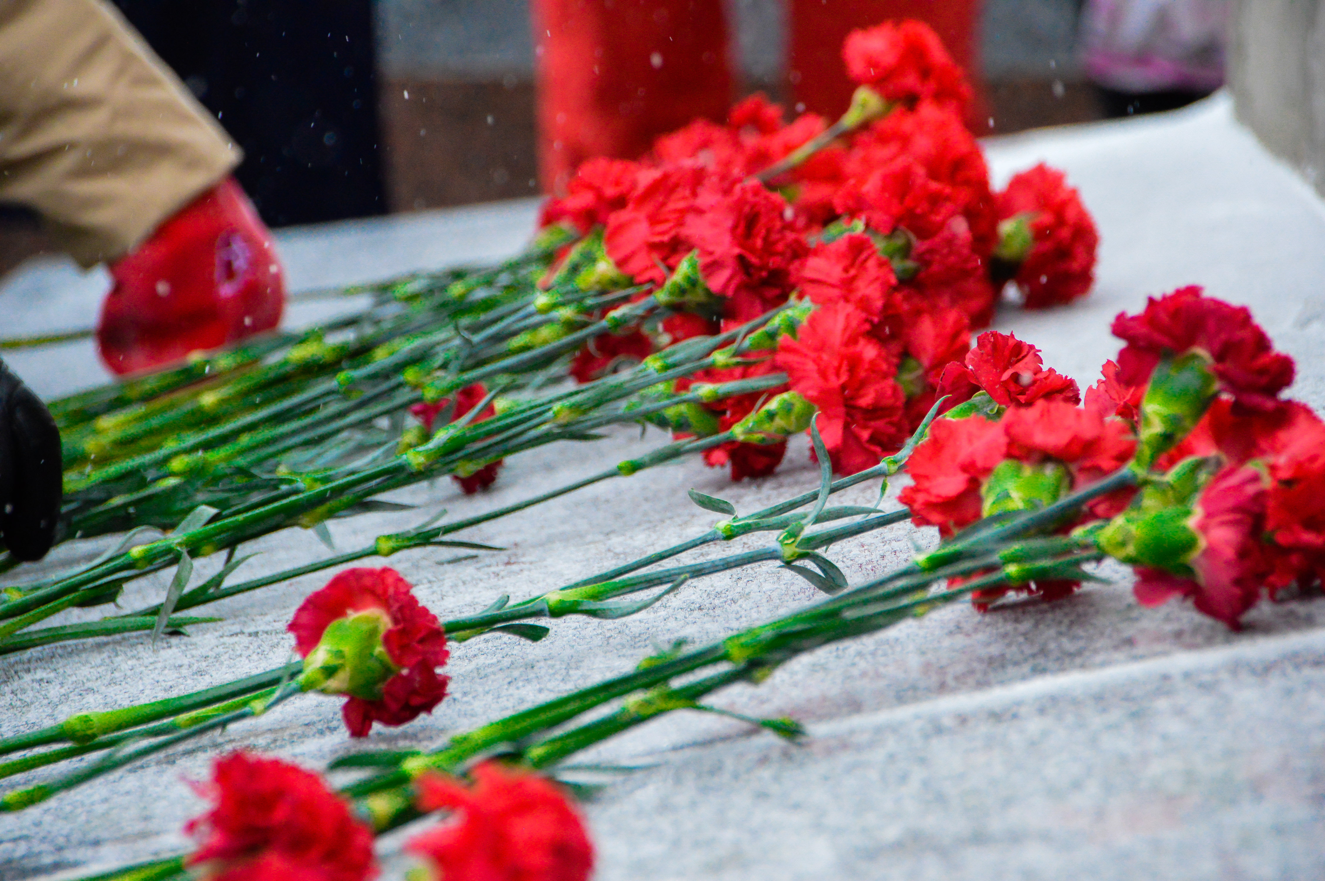 В Твери почтили память героев Сталинградской битвы