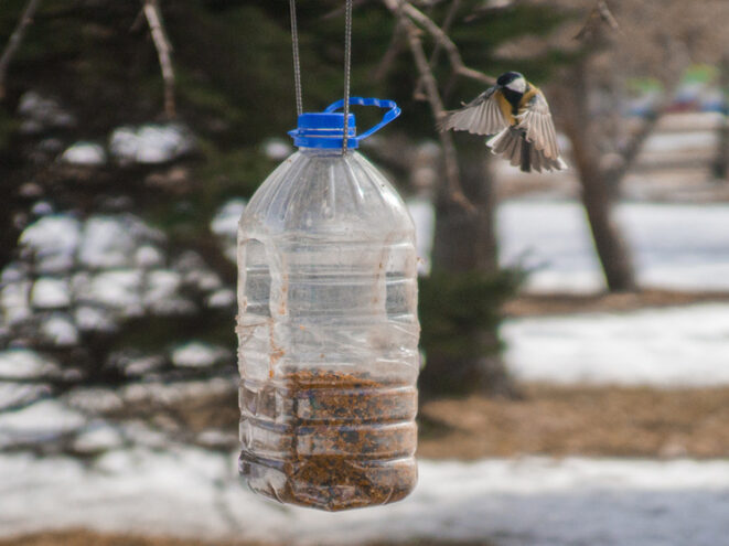 Школьники Оленинского округа участвовали в Международном дне кормления птиц