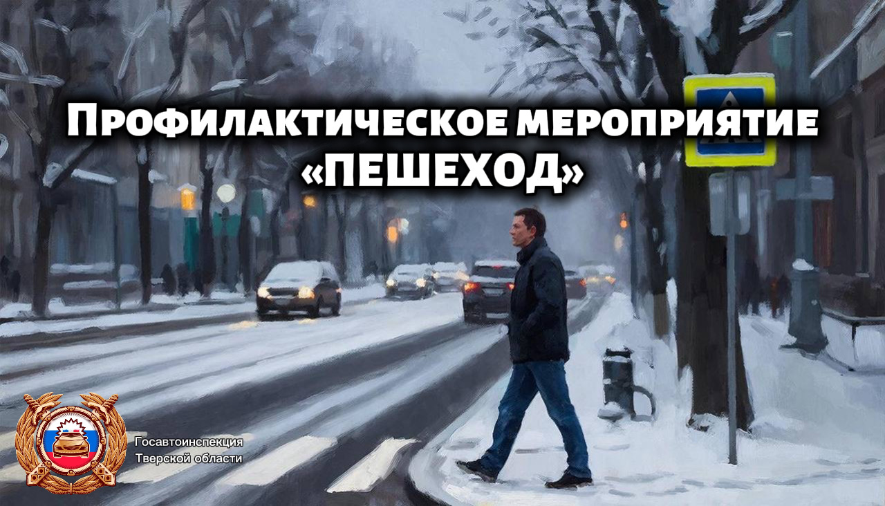 В Тверской области проводится масштабная операция "Пешеход"