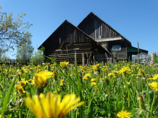 Россельхознадзор меняет подход к фитосанитарному обеззараживанию: что нужно знать бизнесу с 2026 года