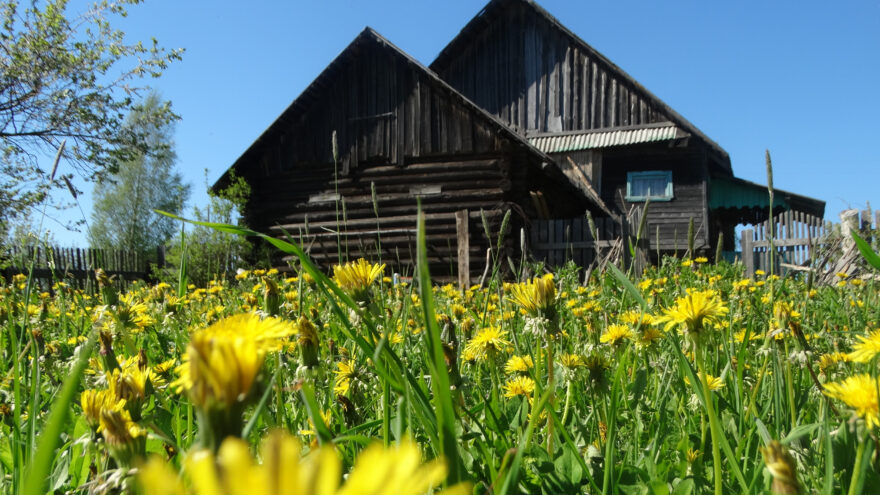 Россельхознадзор меняет подход к фитосанитарному обеззараживанию: что нужно знать бизнесу с 2026 года