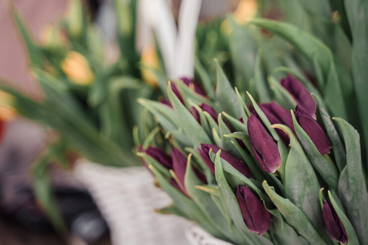 Мартовские выходные 2026 в Тверской области