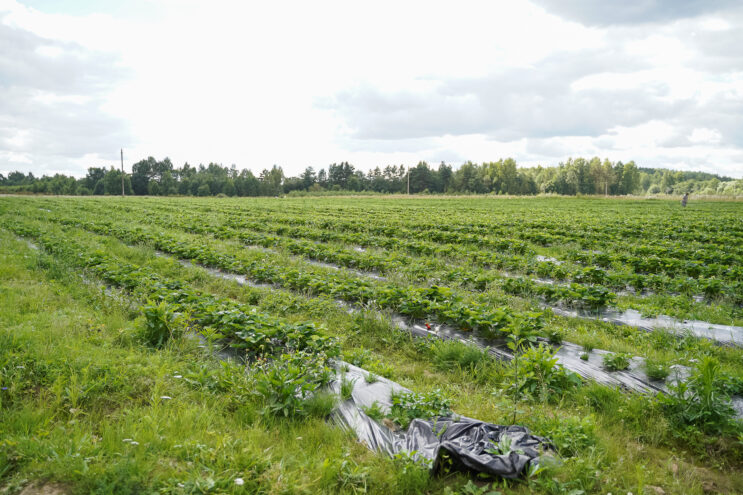 Новый законопроект усилит контроль за плодородием почв в Тверской области Новый законопроект усилит контроль за плодородием почв в Тверской области