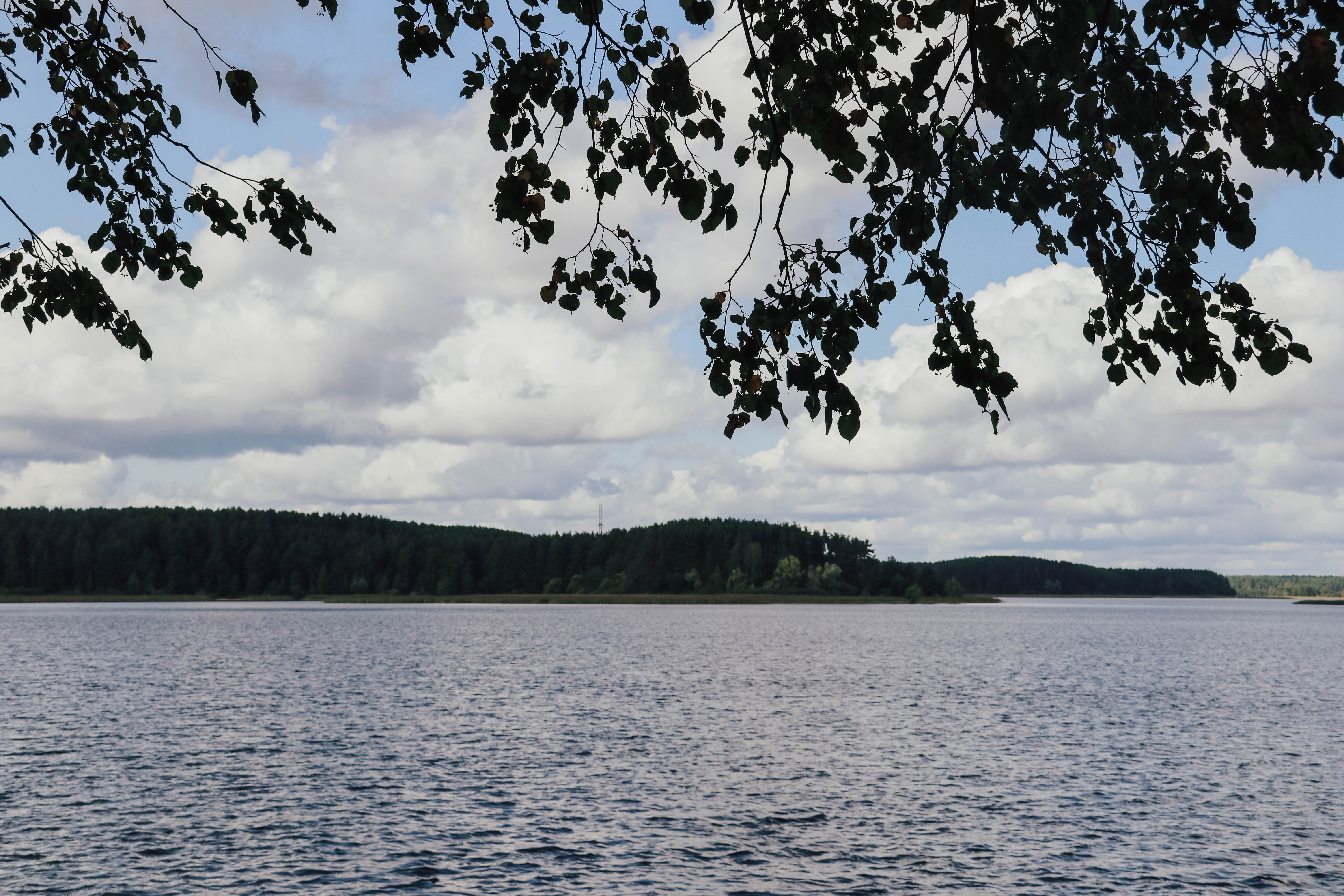 Тверская область получит масштабное экологическое обновление в 2026 году